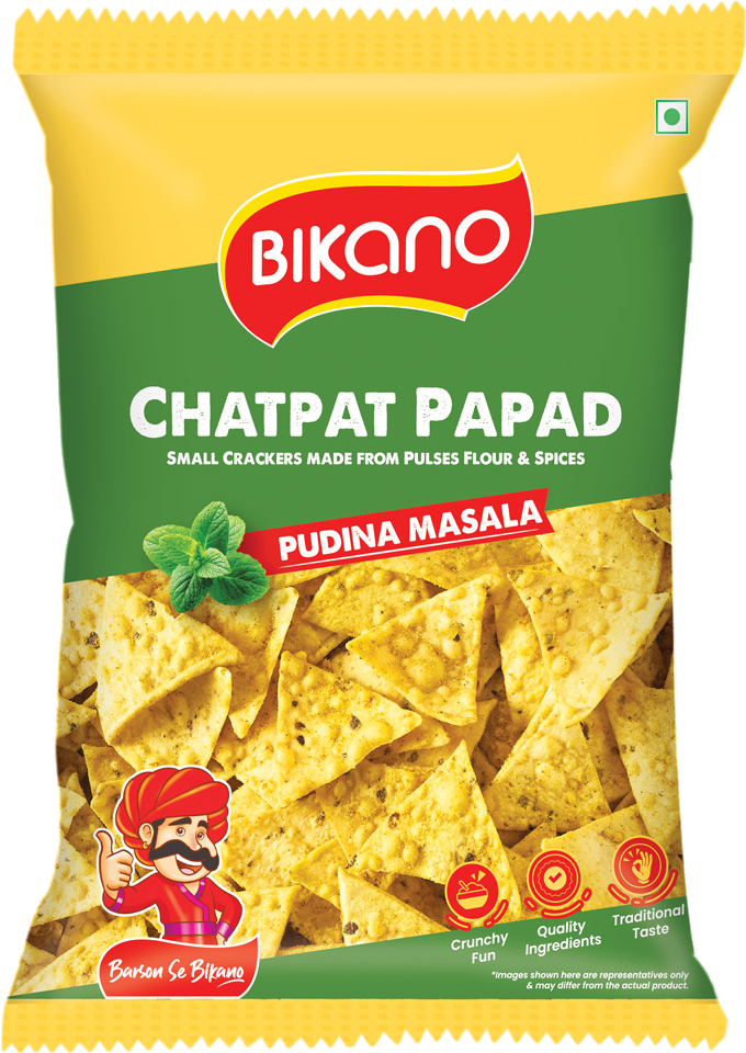 Bikano Chatpat Papad Pudina Masala
